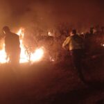 Liquidan incendio forestal en Villa de Cos