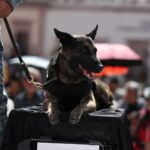 Conmemoran 216 aniversario de la Independencia de México con desfile militar