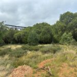 Tepari, primer jardín de Zacatecas en la red nacional de jardines botánicos