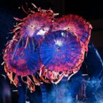 Crean Chilenos, de La Patriótico Interesante, un universo de imaginación